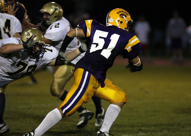 个人职业目 个人职业目