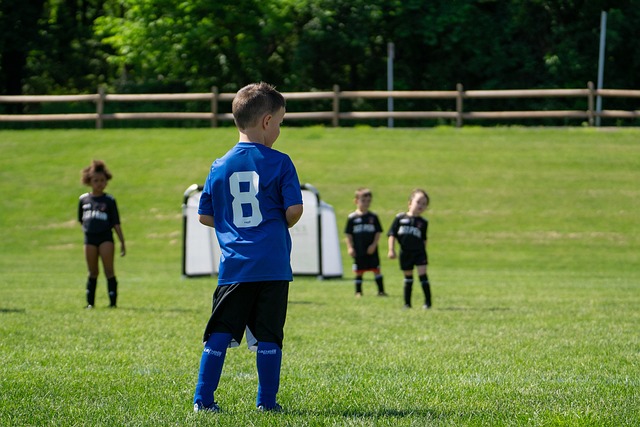 的逐渐回暖 的逐渐回暖