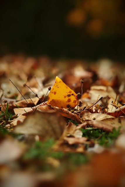 这次锦标赛 这次锦标赛