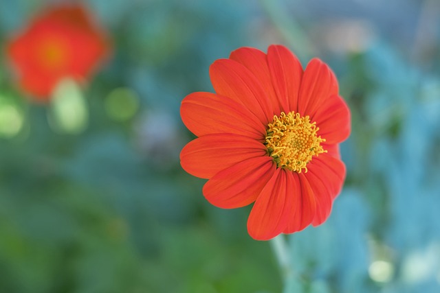 这是他努力 这是他努力