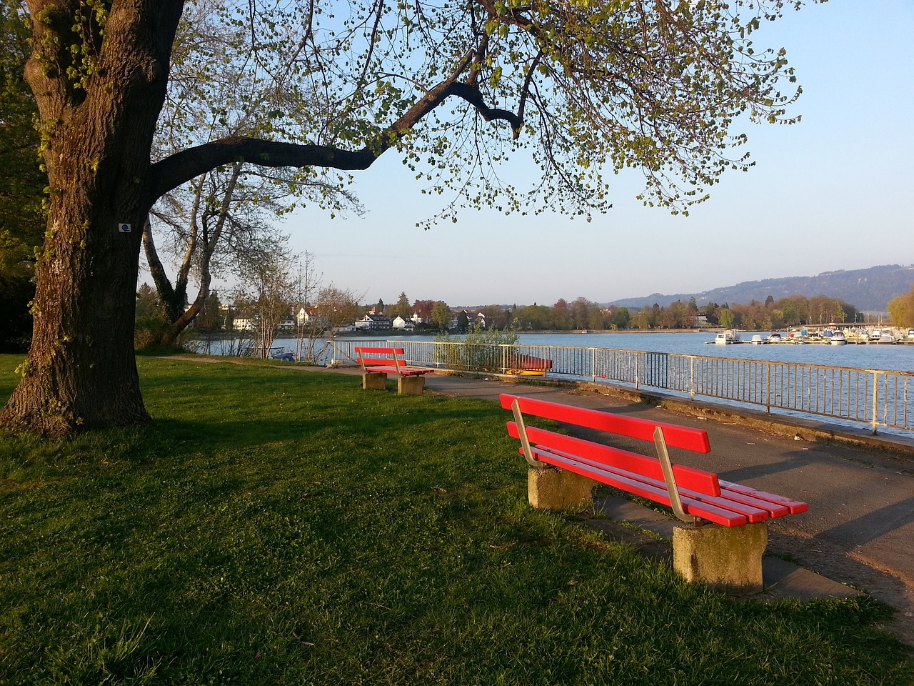 通过不断努 通过不断努