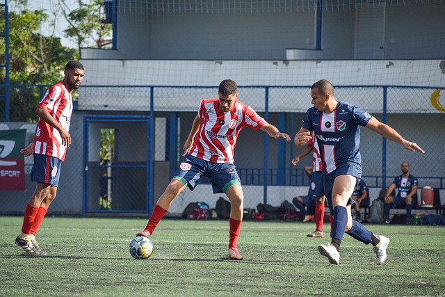 了重要力量 了重要力量