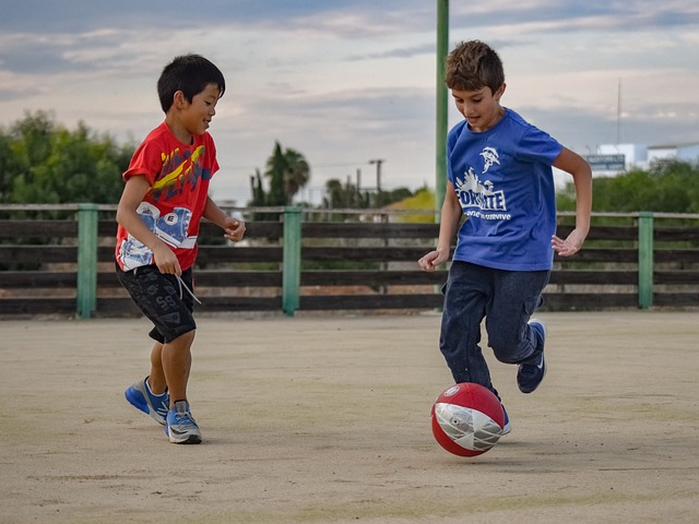 这一决定引 这一决定引