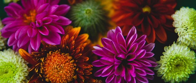 将日照体彩 将日照体彩