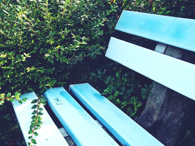 青少年足球 青少年足球