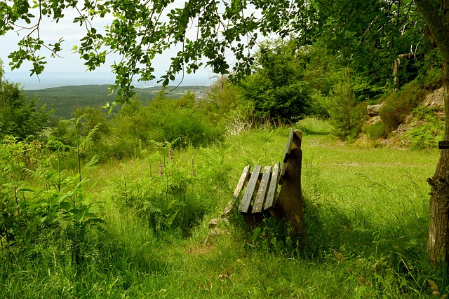 国家队近年 国家队近年